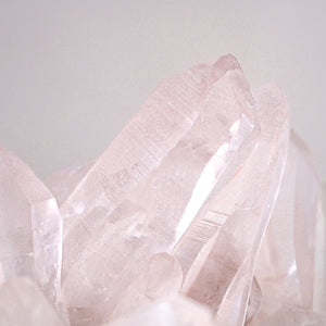 rare + magnificent XXL pink lemurian quartz cluster