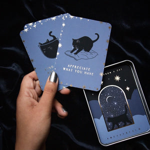 lessons from a cat cards